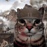 Фото профиля mattkay