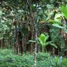 ബാബു G ബാബു profil fotoğrafı