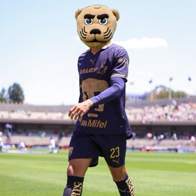 Goyito's profile picture