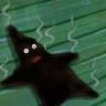 Bobert9000's profile picture