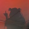 Profilbild von RED