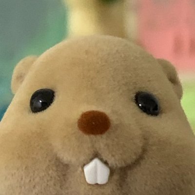 mainitikaiminn's profile picture