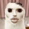 逆ヴィーガン 的头像