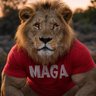 Фото профиля SOSMAGA
