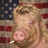 John Smith's profile picture