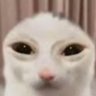 Profilbild von Cel🔞