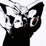 Profilbild von z