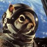 Cmdr Zm profil fotoğrafı