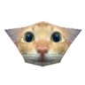 Profilbild von Transcendenz