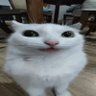 . 的头像