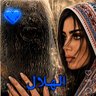 Profilbild von شموخ الحويطي