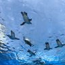 肯定🐧 profil fotoğrafı