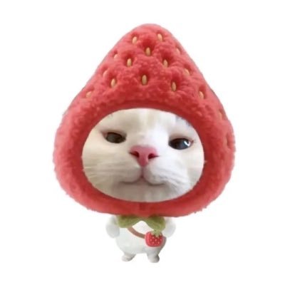 nam_tans's profile picture