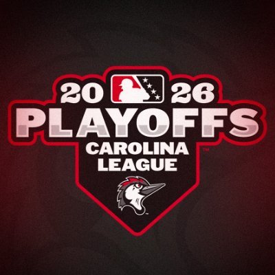 WoodpeckersNC's profile picture