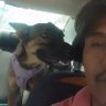 Antonio's profile picture