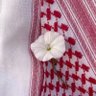 Zehra's profile picture