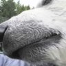Ethan M's profile picture