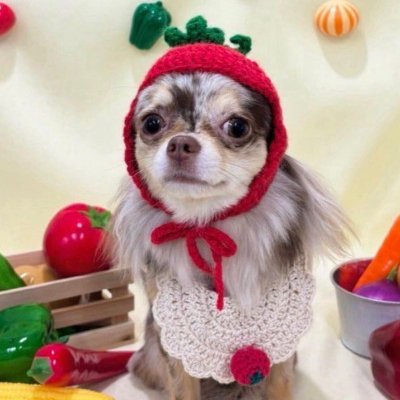 A.Y's profile picture
