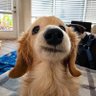 Tkay profil fotoğrafı