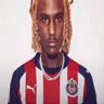 tonoto's profile picture