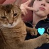 นนตล์🌧️🥕🎞️'s profile picture