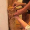 Şeyma 的头像