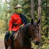 Justin Dickson's profile picture