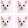 ✩°。⋆ lujain ✩°。⋆ 的头像