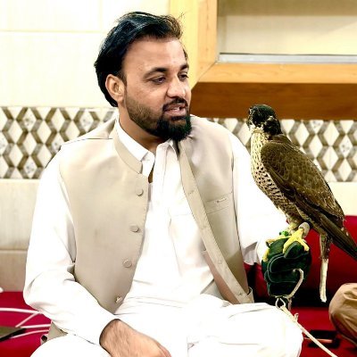 SajjadMomand's profile picture