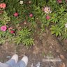 Фото профиля ภูเขาคงตระหง่าสายน้ำมิหยุดไหลพบเจอกันใหม่วันหน้า
