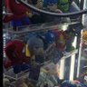 A 的头像