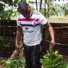 Profilbild von Ndugu Hillary