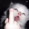 mairahana's profile picture