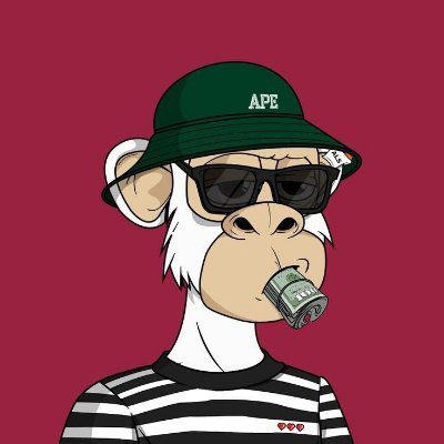 leo_xse's profile picture