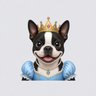 Duchess Daisy profil fotoğrafı