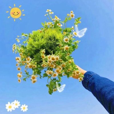 SureshkumarBhil's profile picture