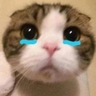 ellie profil fotoğrafı