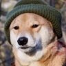 Profilbild von demo