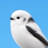 ブレオベリス profil fotoğrafı