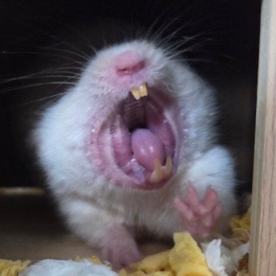 melony_w_t's profile picture