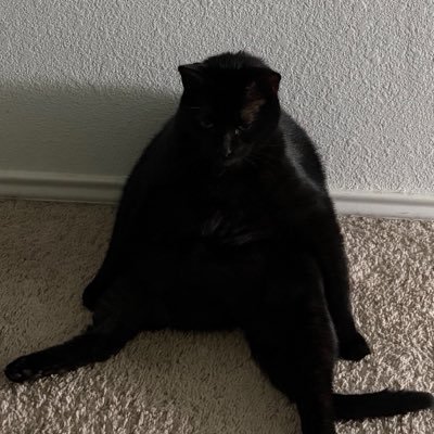 Pandxrz's profile picture