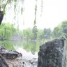 多伦多老张 profil fotoğrafı