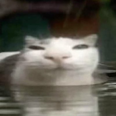 w's profile picture
