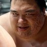 逆襲の酔拳十段's profile picture