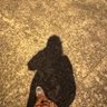 Mahpara's profile picture