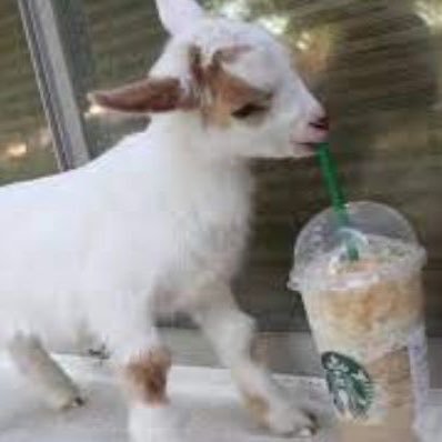 oldchubbygirl's profile picture