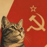 Фото профиля Socialist Cat (not kind)