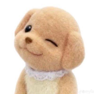 𝗟𝗘𝗘 𝗝's profile picture