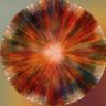 nathan alexander's profile picture