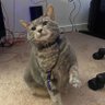 Coco Loco profil fotoğrafı